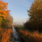 Morgennebel am Gennacher Schwarzbach