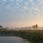 Morgennebel am Grimnitzsee/Althüttendorf