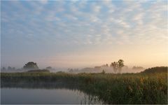 Morgennebel am Grimnitzsee/Althüttendorf