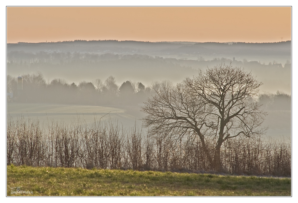 morgennebel am haarstrang