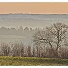 morgennebel am haarstrang