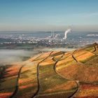 Morgennebel am Hausberg von Neckarsulm