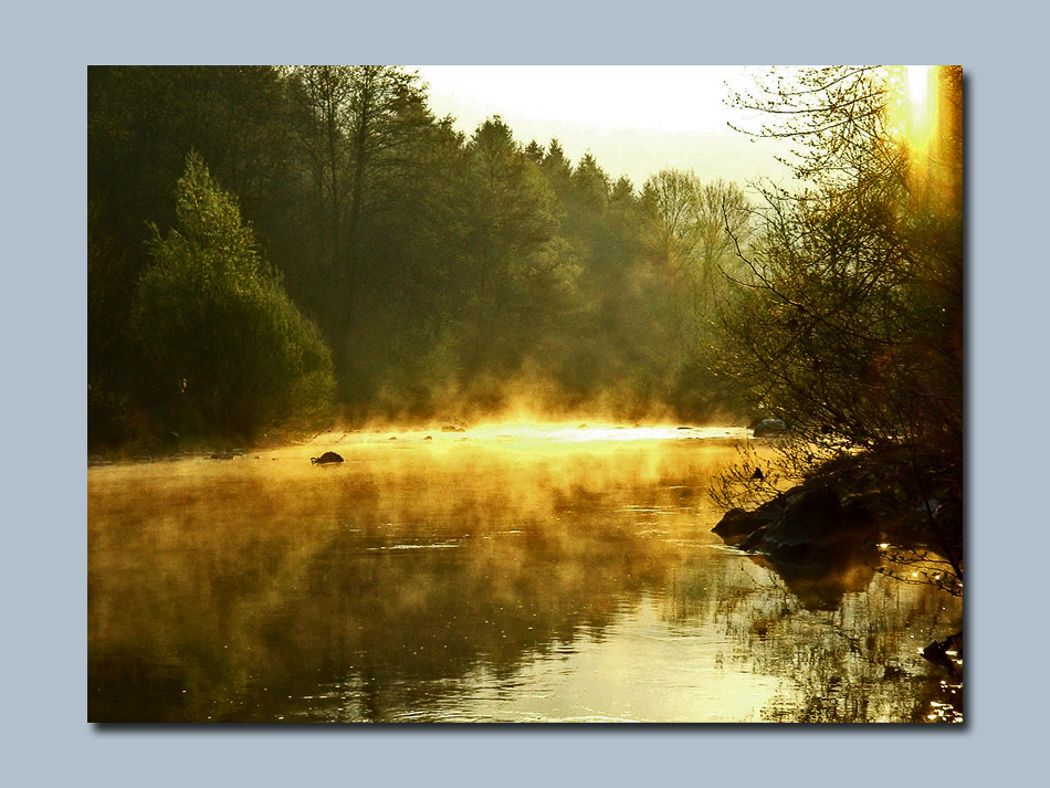 Morgennebel am Herault