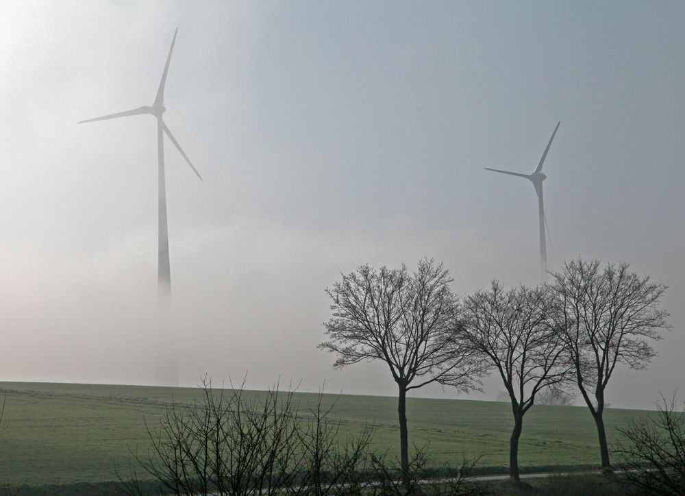 Morgennebel am Hof Heide