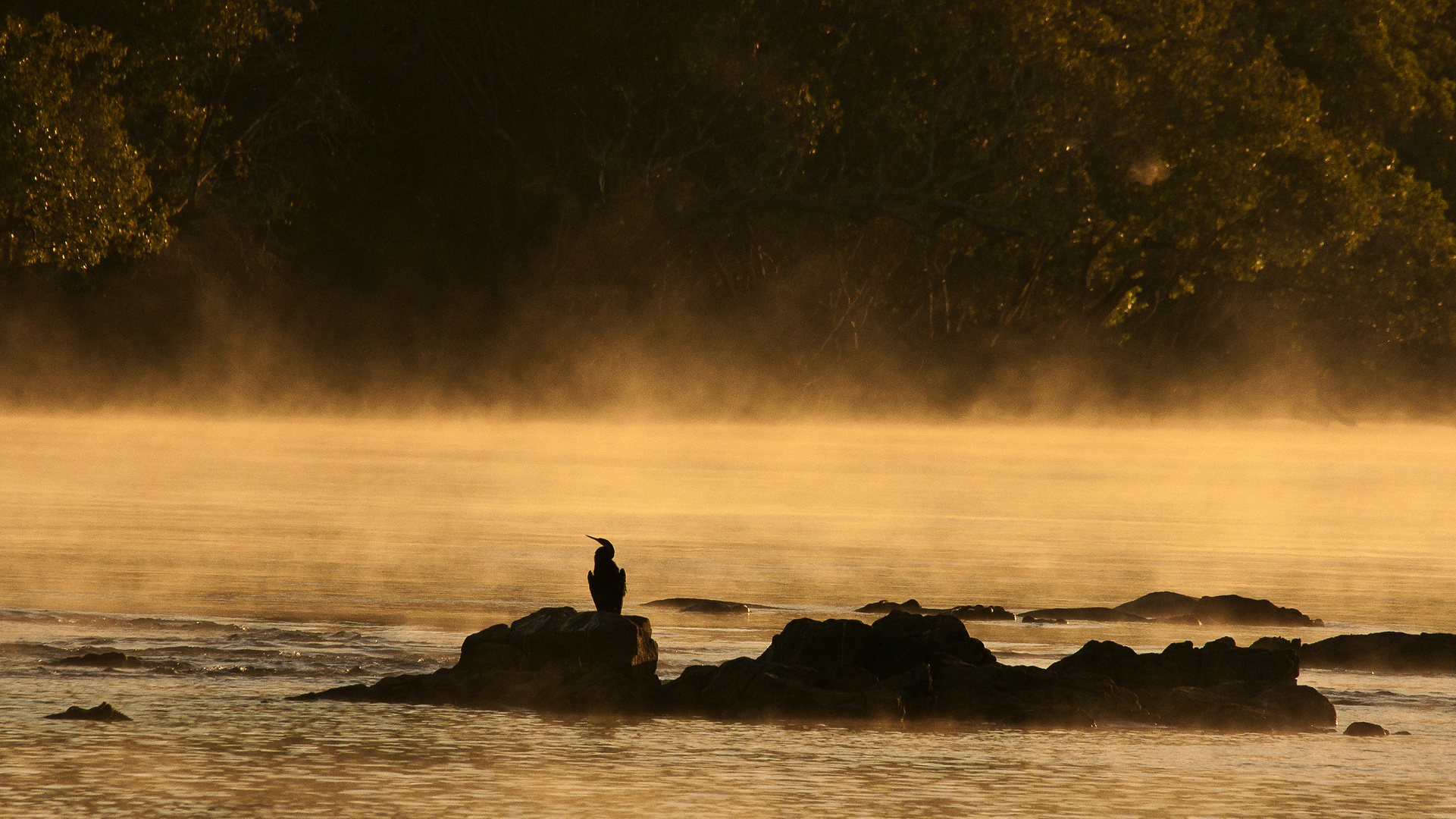 Morgennebel am Kafue