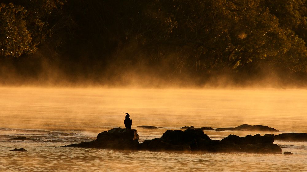 Morgennebel am Kafue