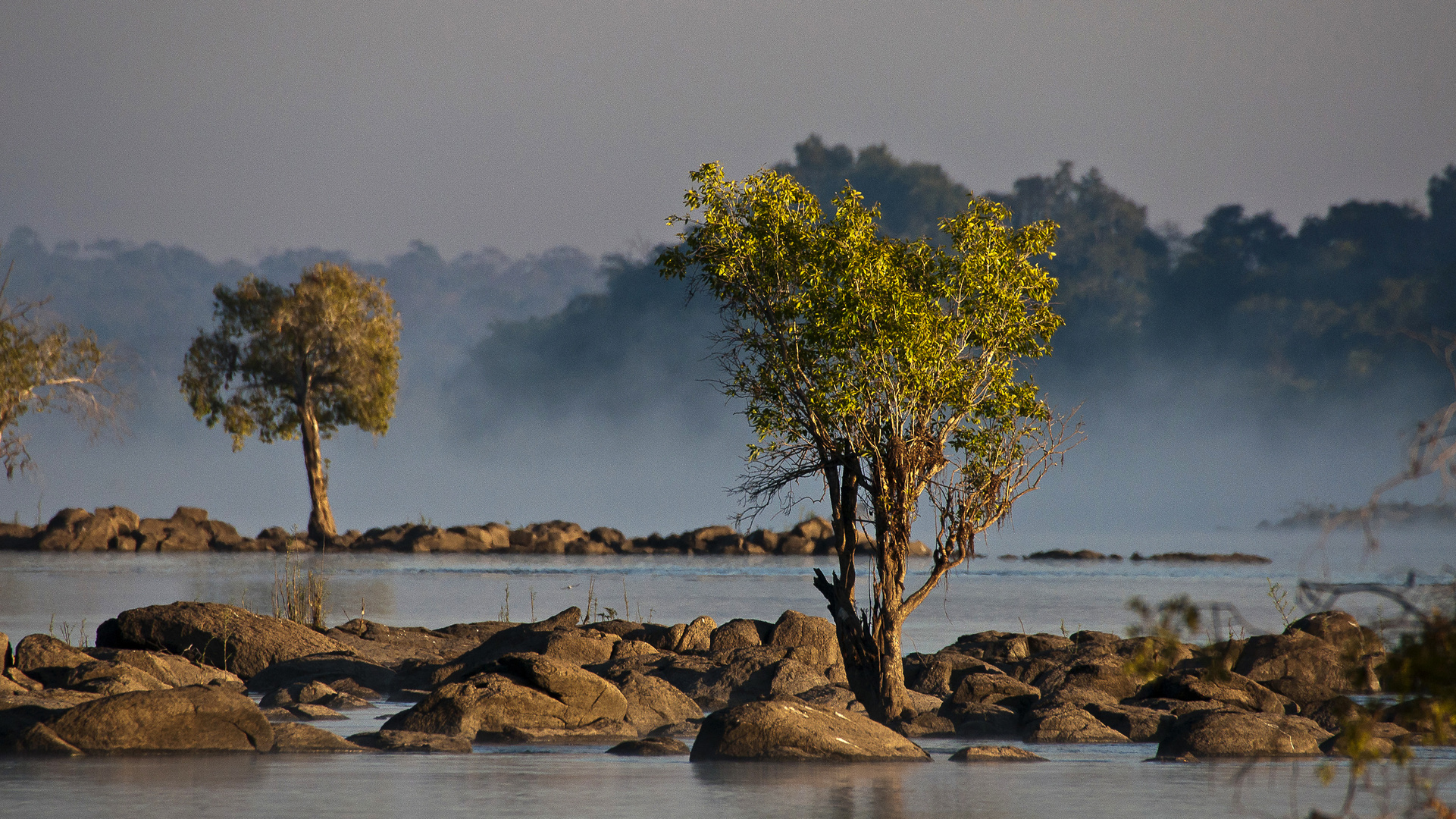 Morgennebel am Kafue / Sambia