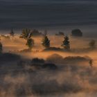 Morgennebel am Kalterer See