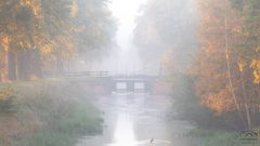 *** Morgennebel am Kanal *** 