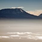 Morgennebel am Kilimanjaro