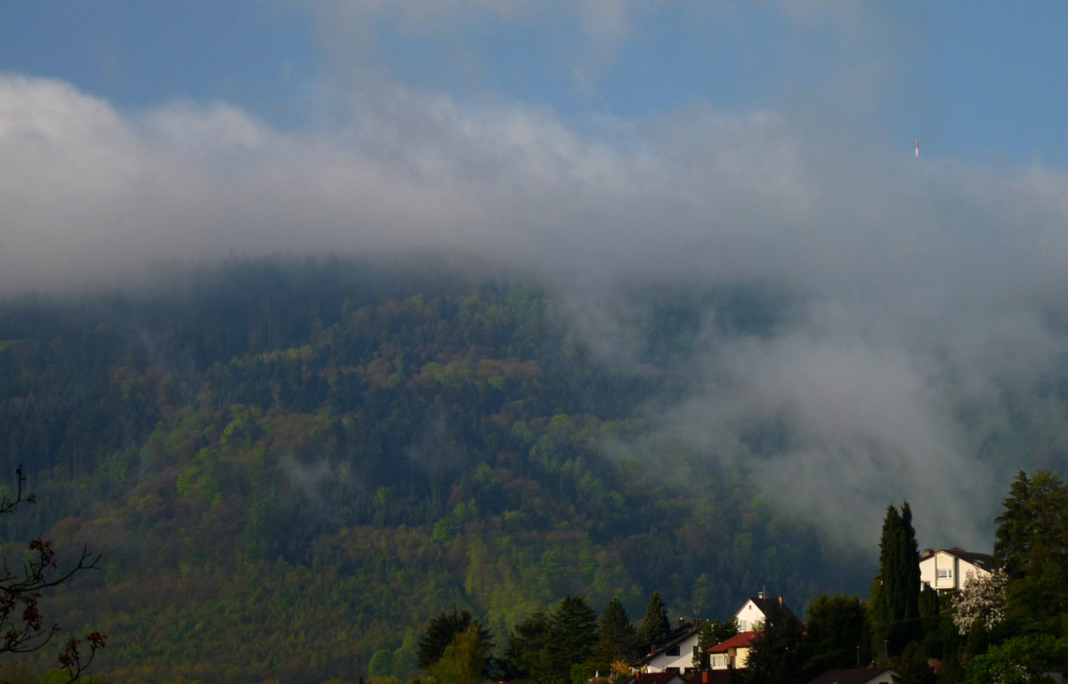 Morgennebel am Königstuhl, Odenwald