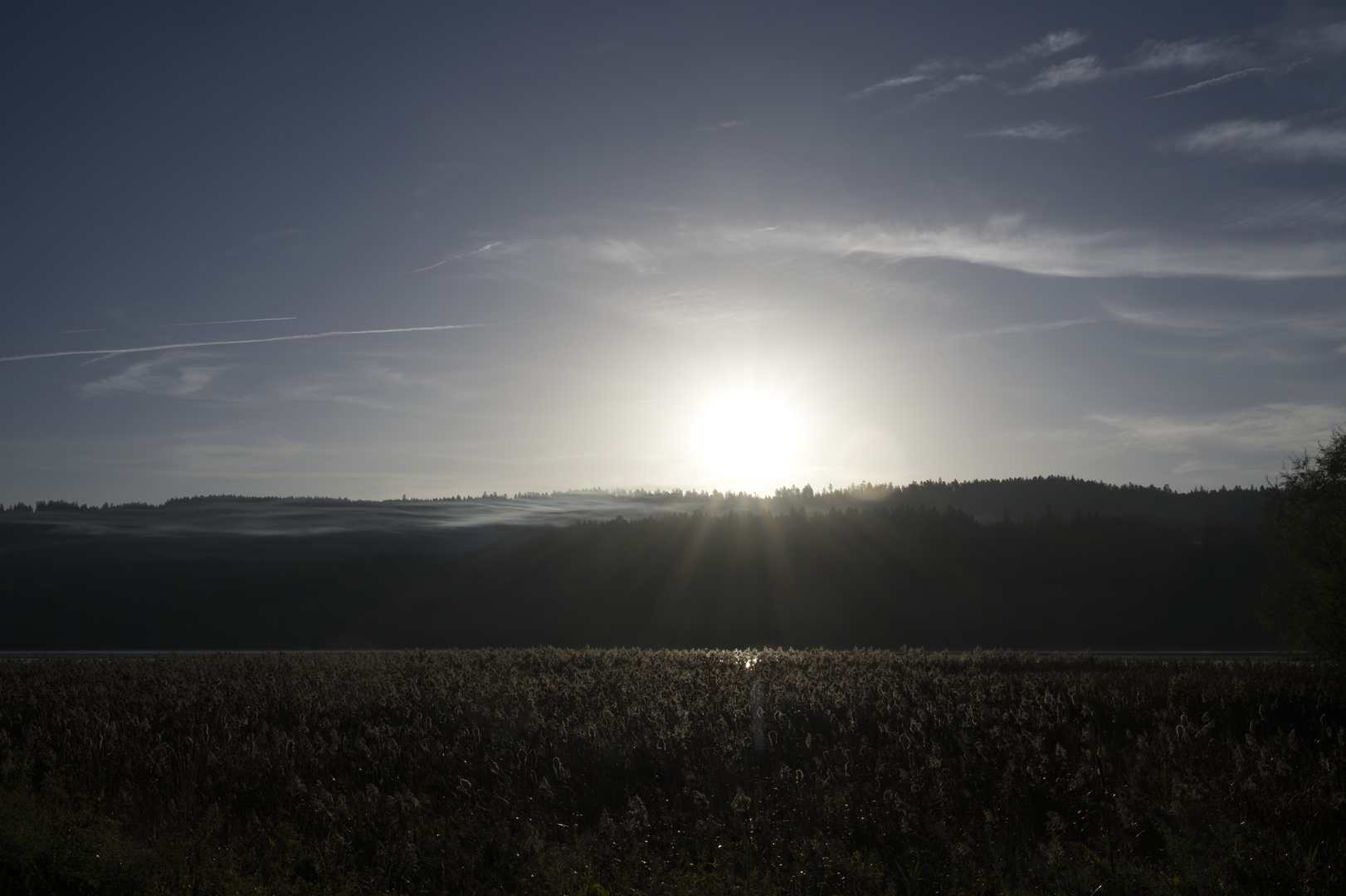 Morgennebel am Lac de Saint Point