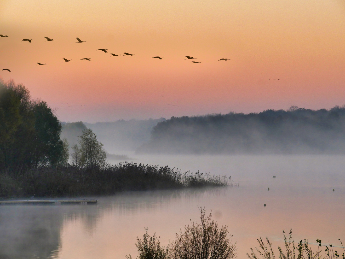 Morgennebel am Lac du der