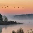 Morgennebel am Lac du der