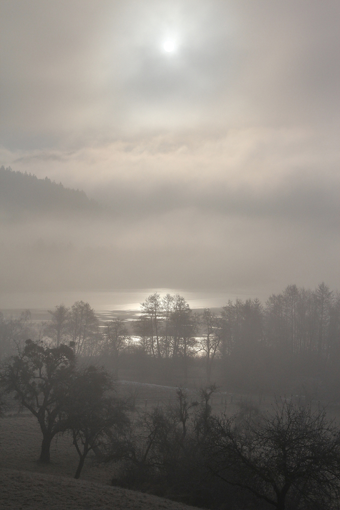 Morgennebel am Längsee