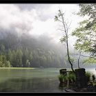 Morgennebel am Leopoldsteinersee [reload]