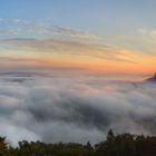 Morgennebel am Lilienstein (2)