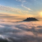 Morgennebel am Lilienstein (3)