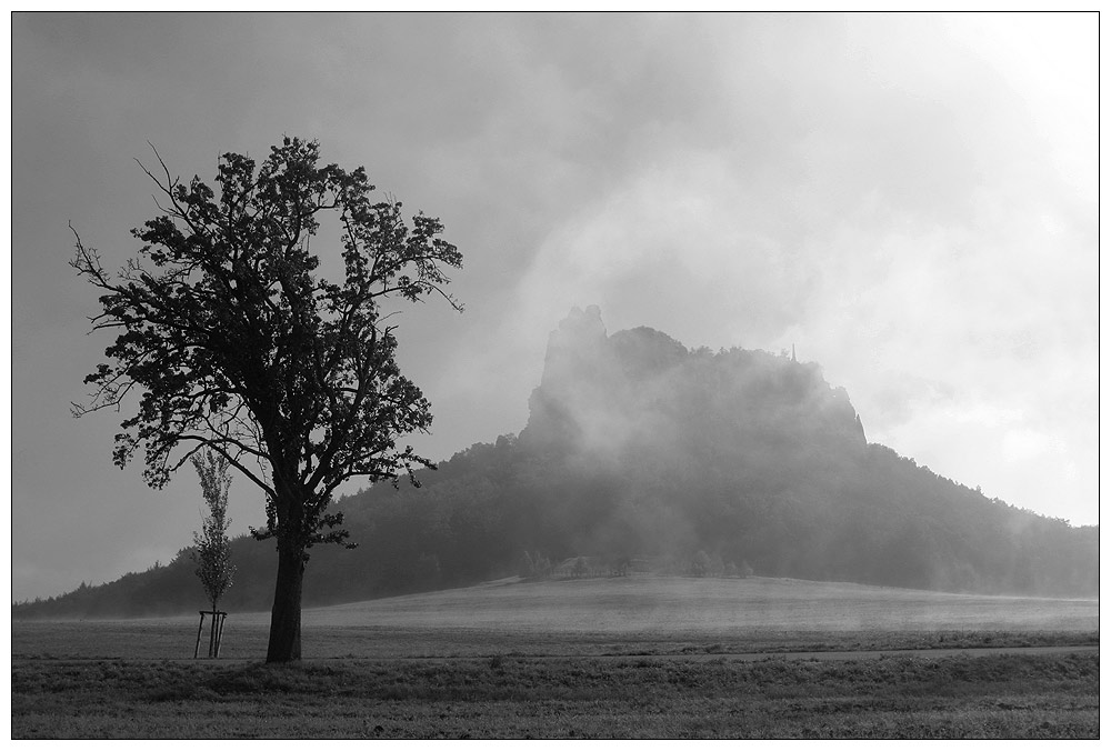 Morgennebel am Lilienstein