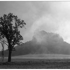 Morgennebel am Lilienstein