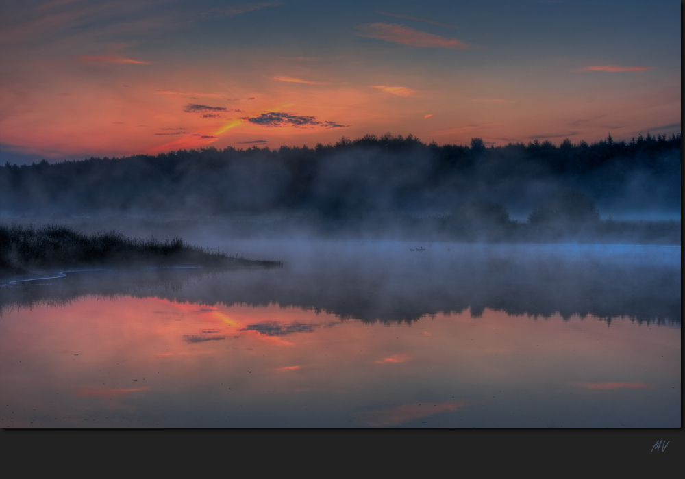 Morgennebel am Lüsekamp III