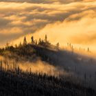 Morgennebel am Lusen