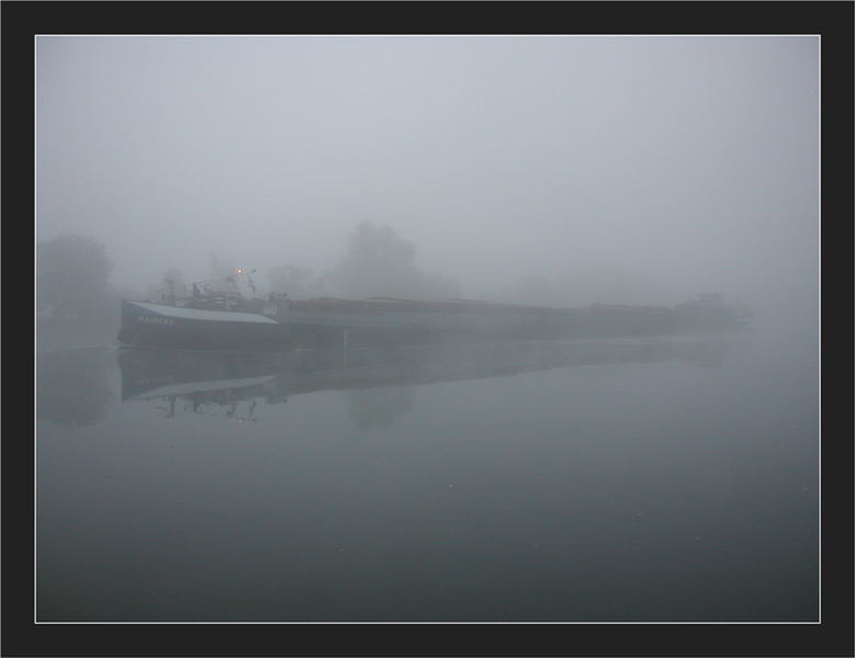 Morgennebel am Main/2