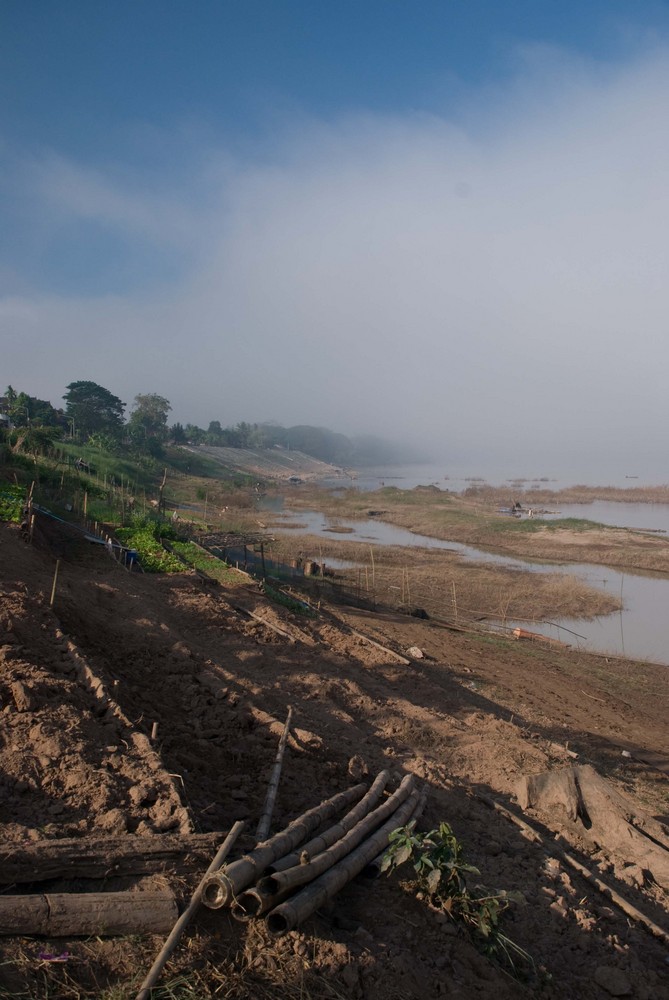 Morgennebel am Mekong