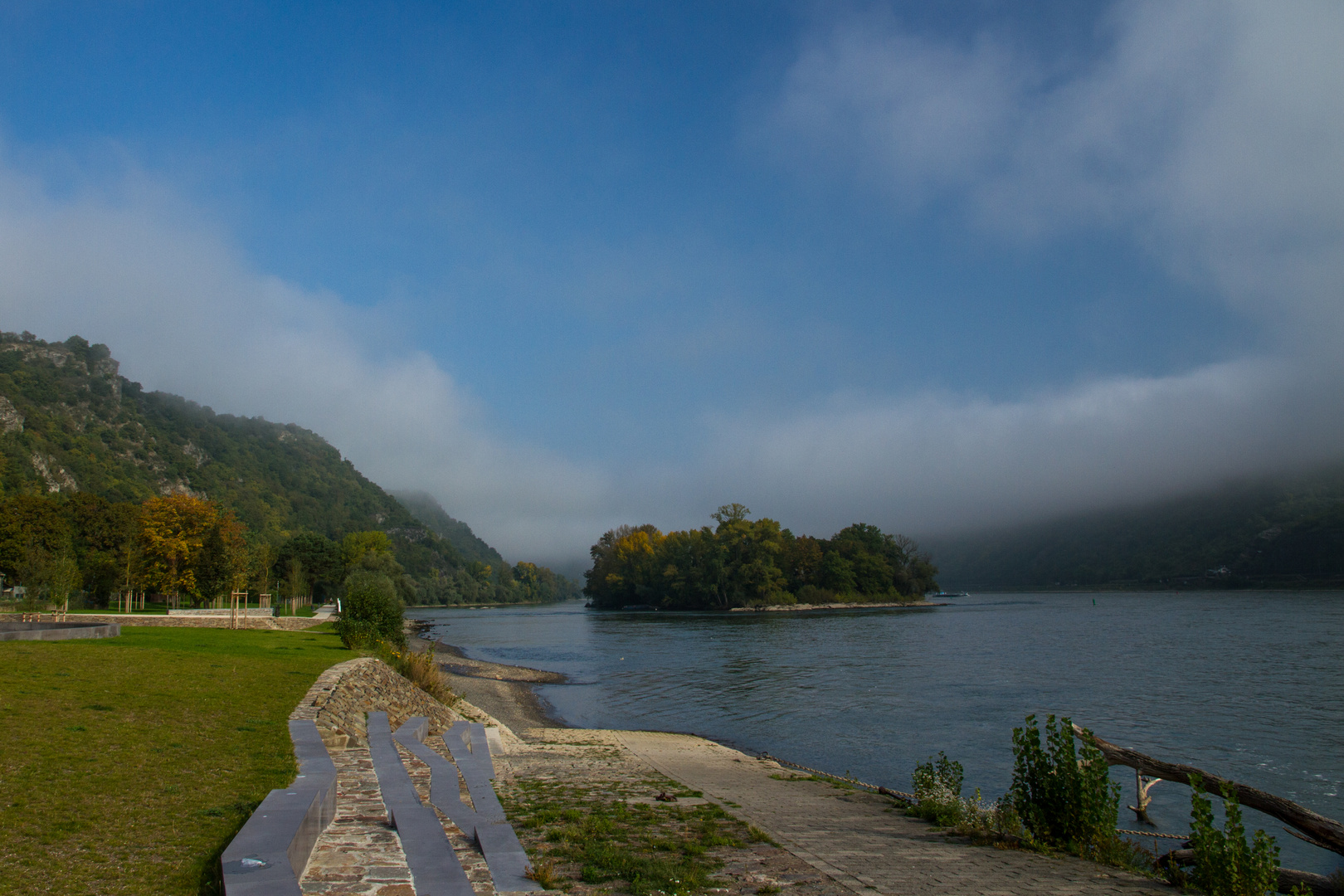 Morgennebel am Mittelrhein