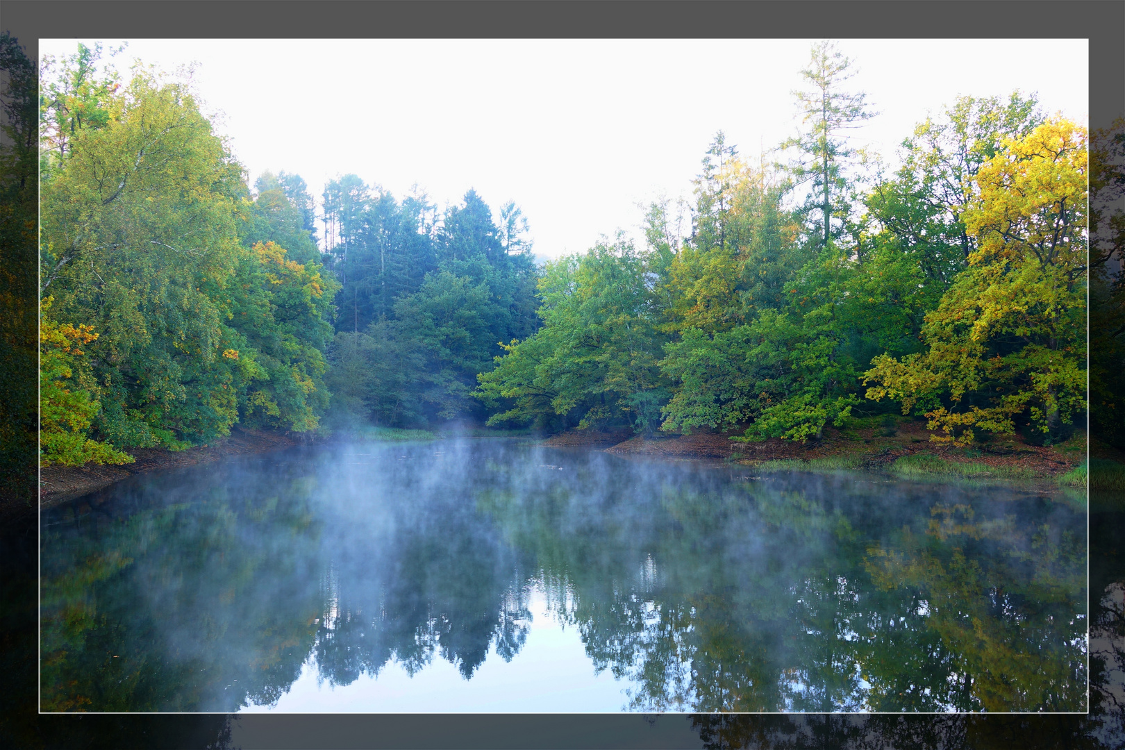 Morgennebel am Möhnesee