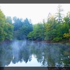 Morgennebel am Möhnesee