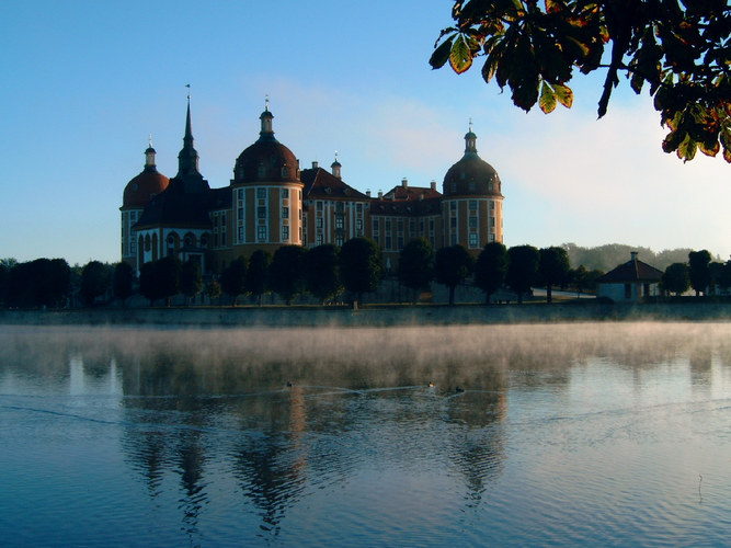 Morgennebel am Moritzburger Schloß