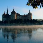 Morgennebel am Moritzburger Schloß