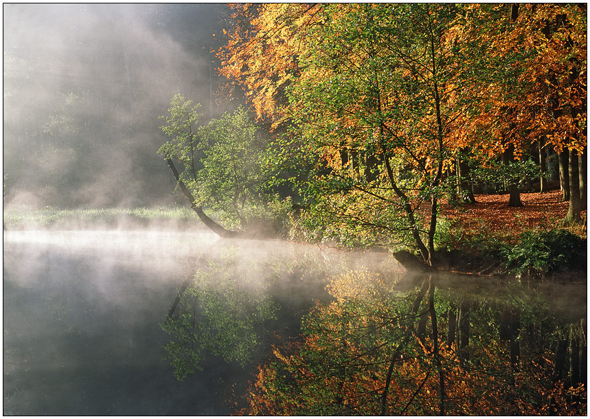 " Morgennebel am Mühlenteich "