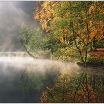 " Morgennebel am Mühlenteich "