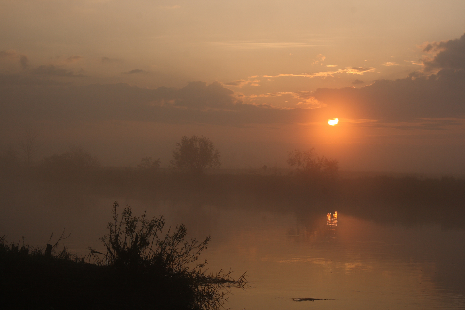 Morgennebel am Narew