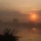 Morgennebel am Narew