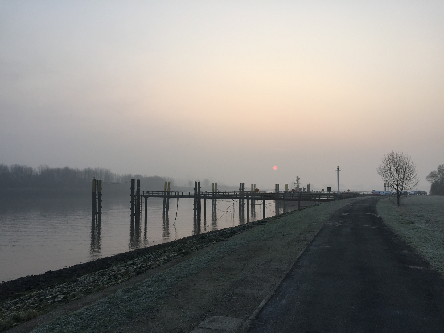 Morgennebel am Neustädter Hafen 