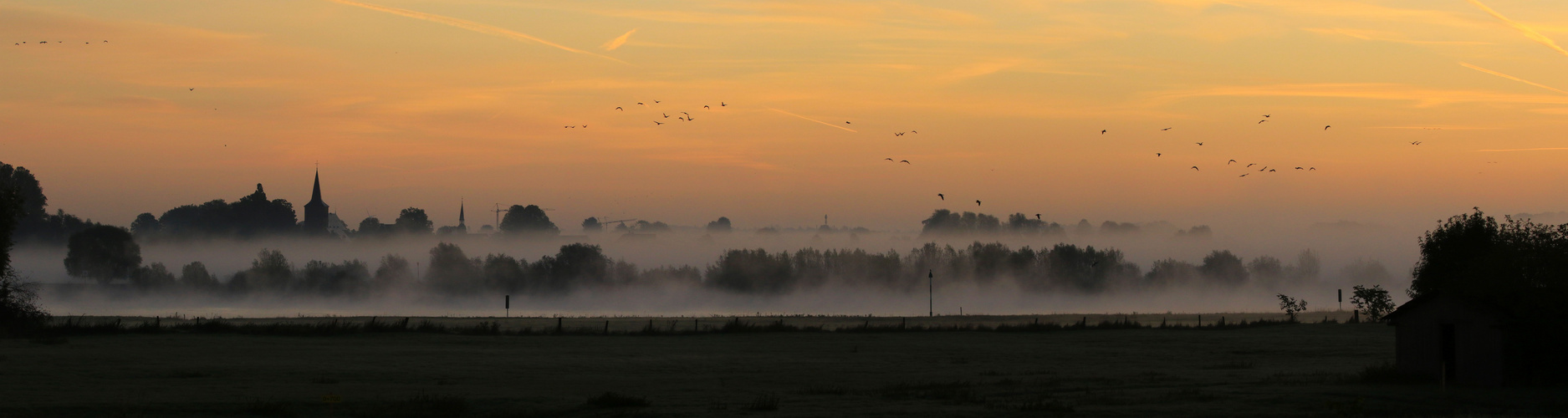 Morgennebel am Niederrhein