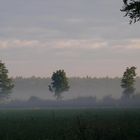 Morgennebel am Niederrhein