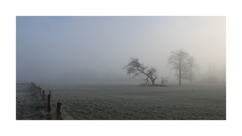 " Morgennebel am Niederrhein "