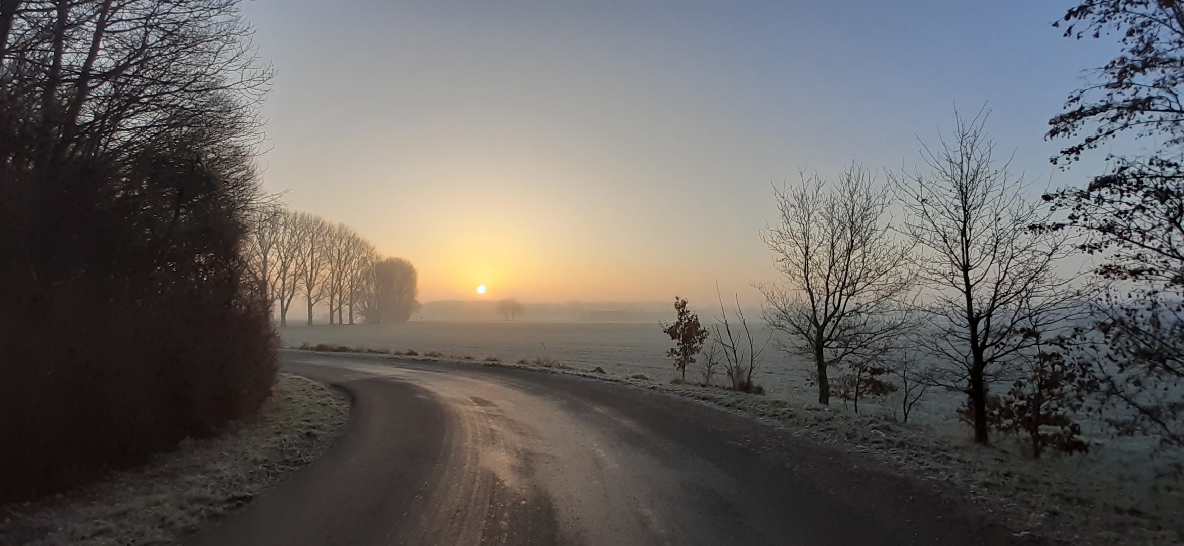 Morgennebel am Niederrhein