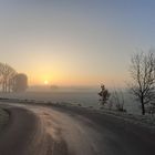 Morgennebel am Niederrhein