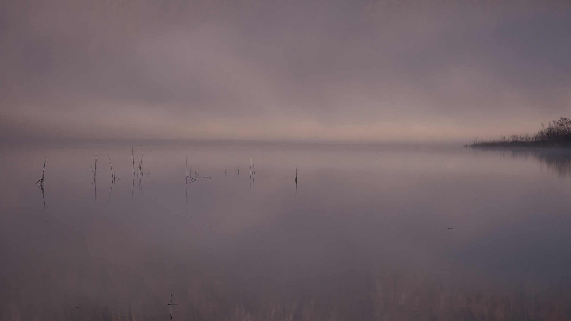 Morgennebel am Offensee