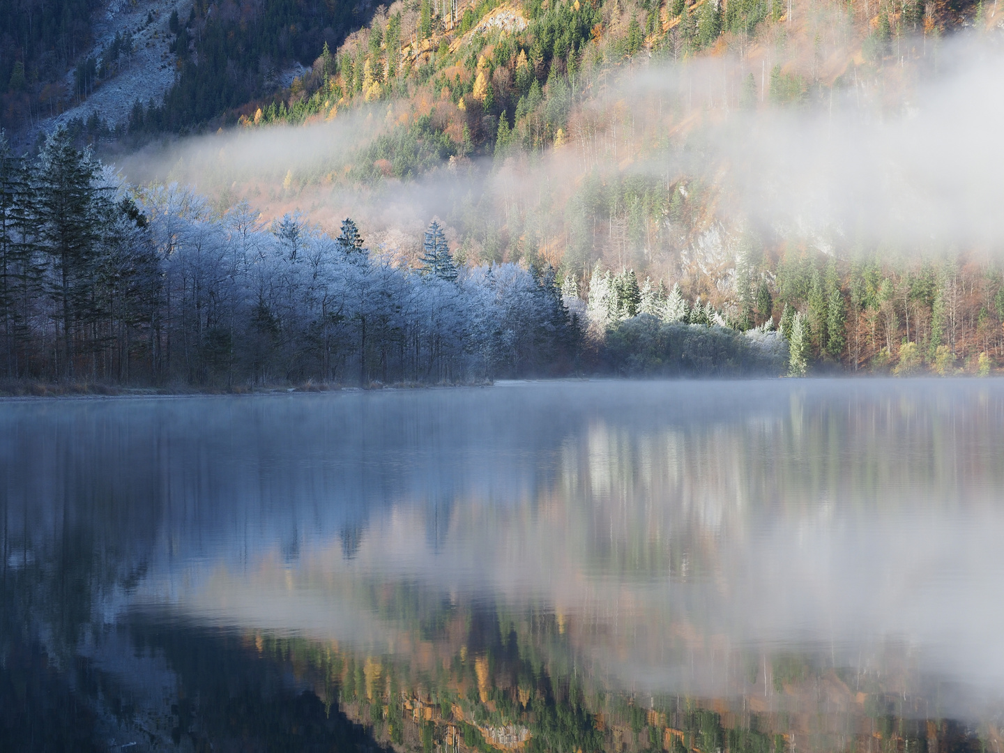 Morgennebel am Offensee