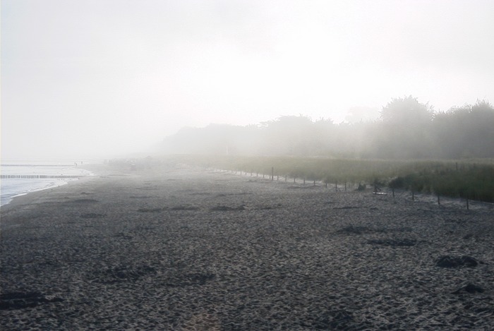 Morgennebel am Ostseestrand