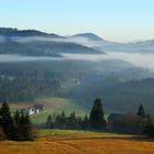 Morgennebel am Raten (ZG)