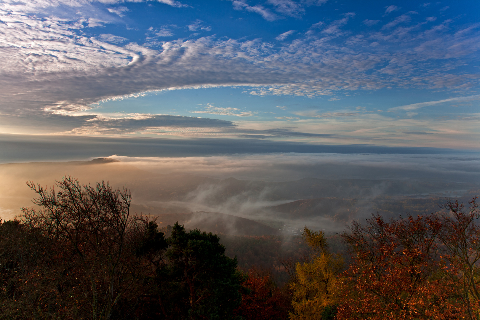 Morgennebel am Rehberg