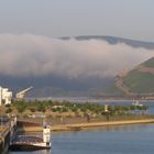 Morgennebel am Rhein