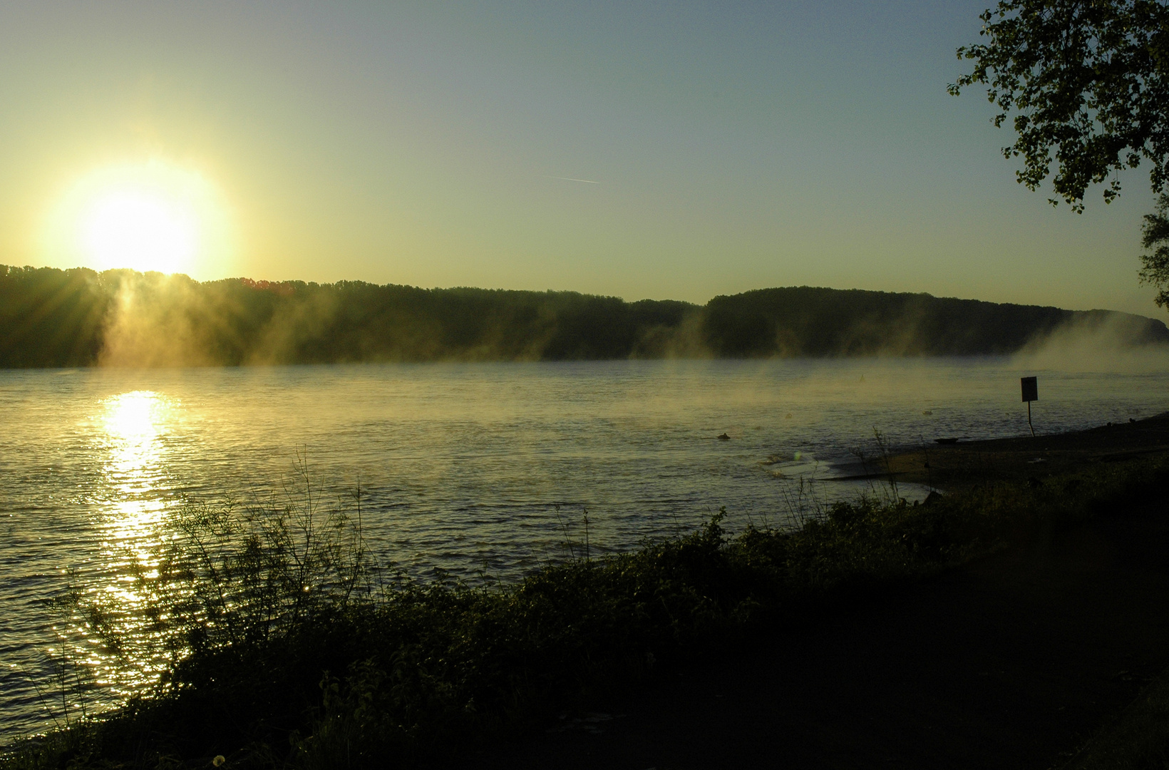 Morgennebel am Rhein